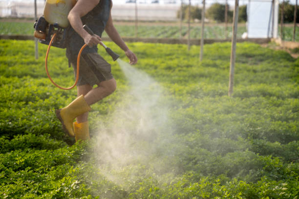 Best Pest Removal Services  in Magnolia, AR