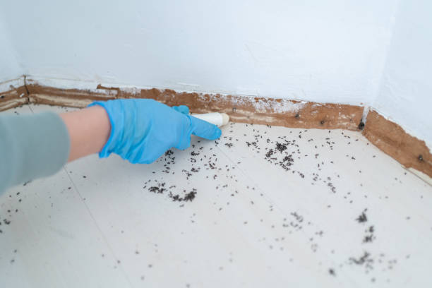 Best Residential Pest Control  in Magnolia, AR