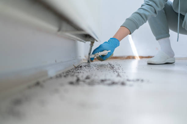 Best Pest Prevention Services  in Magnolia, AR
